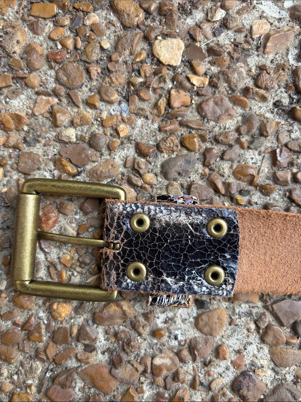Ed Hardy Black Leather Belt with Multicolor Graphic Accents
